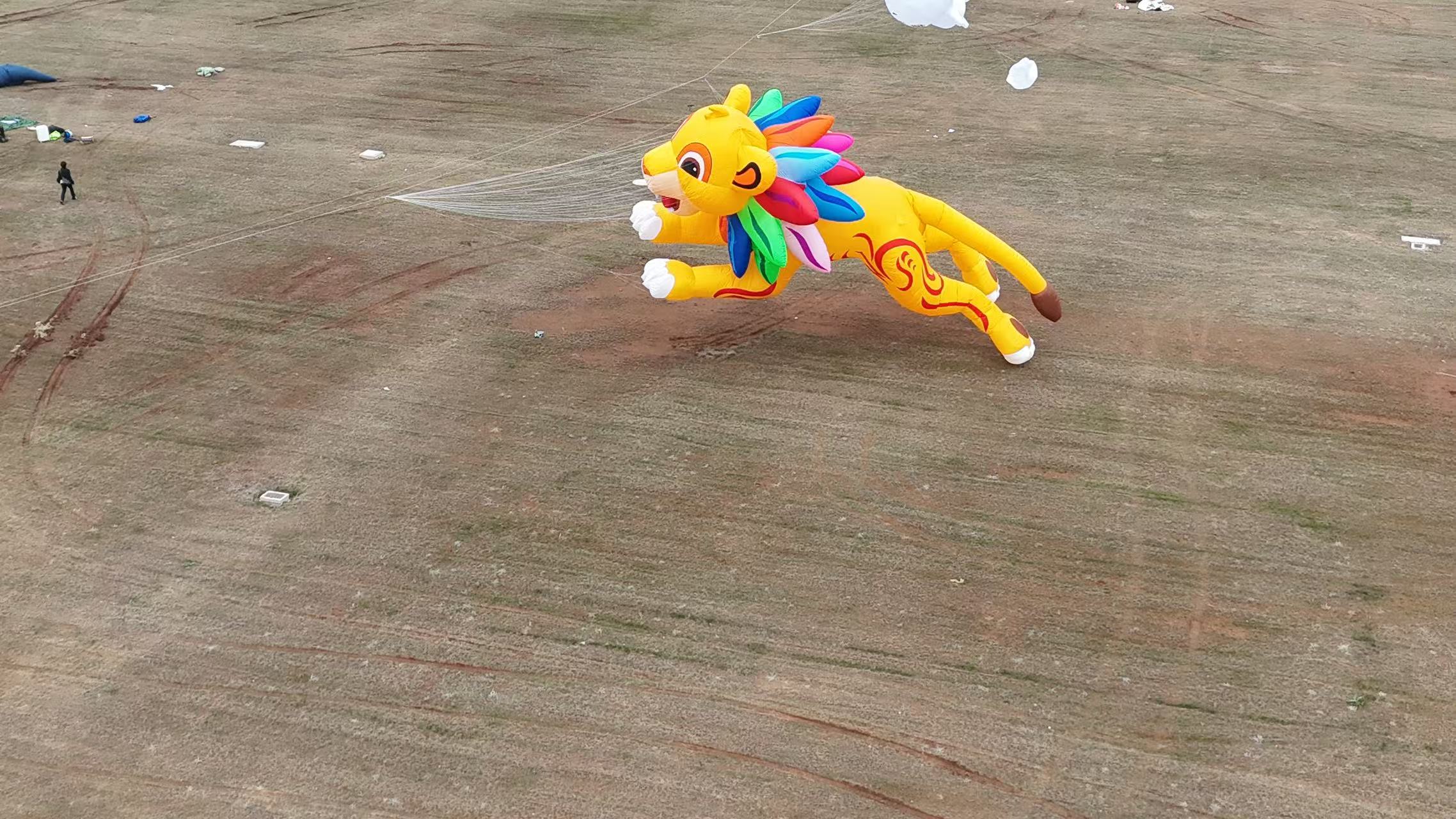 仙桃市品牌风筝定制风筝加工 - 厂家